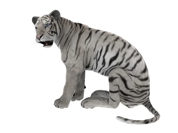 3D CG renderização de um tigre branco — Fotografia de Stock