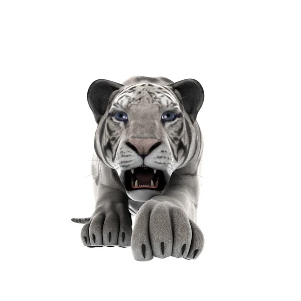 Rendering 3D CG di una tigre bianca — Foto Stock