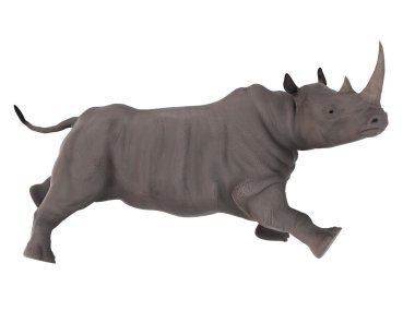 bir gergedan 3d cg render 