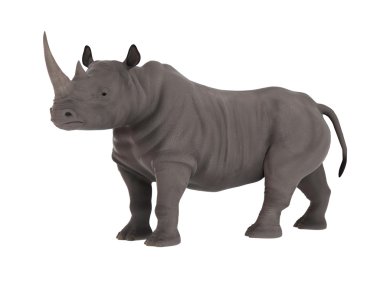 bir gergedan 3d cg render 