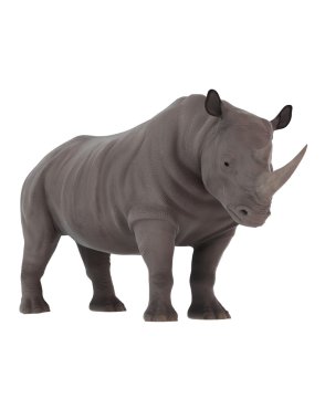 bir gergedan 3d cg render 