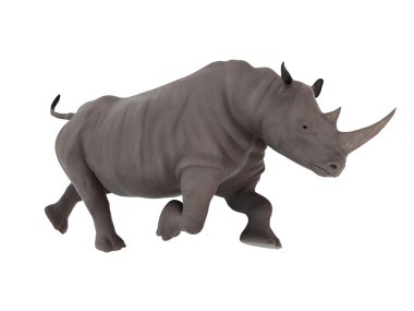 bir gergedan 3d cg render 