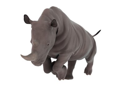 bir gergedan 3d cg render 