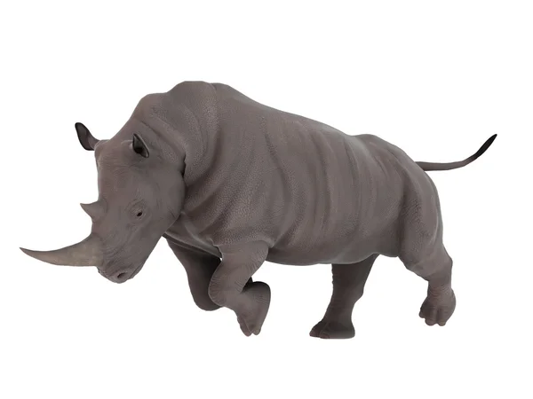 Rendering 3D CG di un rinoceronte — Foto Stock