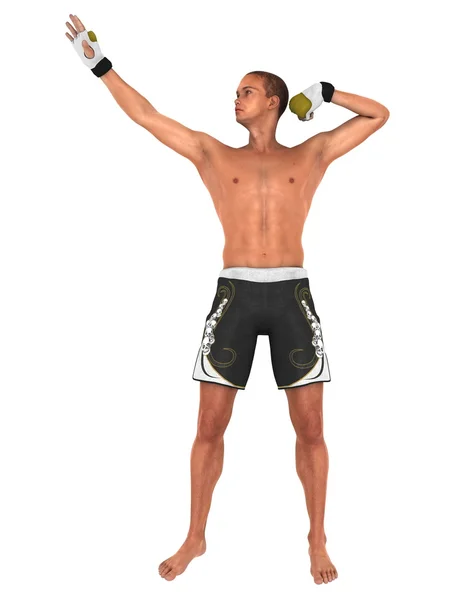 Renderowania 3D cg artysty sztuk walki — Zdjęcie stockowe
