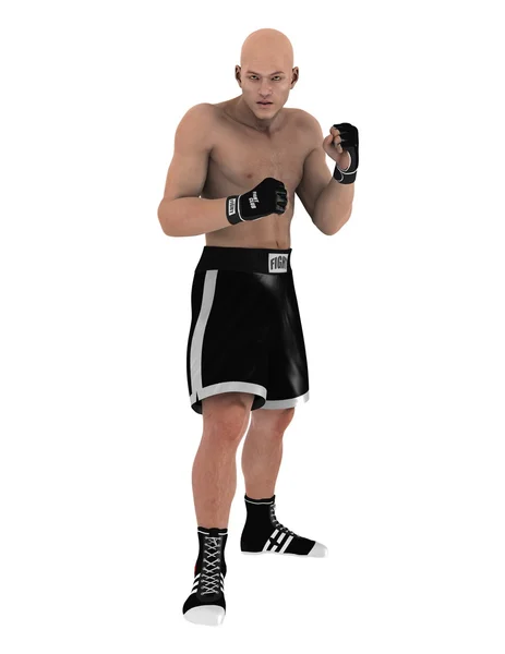 Renderowania 3D cg artysty sztuk walki — Zdjęcie stockowe