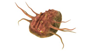 bir canavar 3d cg işleme