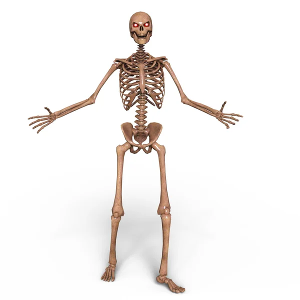 Rendering 3d cg di uno scheletro — Foto Stock