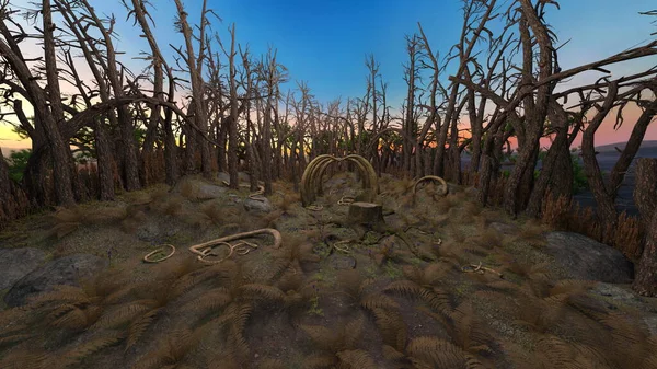 Yıkılmış Ormanın Canlandırması — Stok fotoğraf