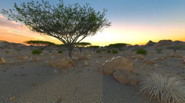 Çölün 3 boyutlu canlandırması