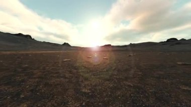 Vahşi doğanın 3 boyutlu yansıması