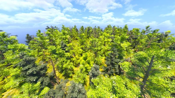 绿化景观的3D渲染 — 图库照片