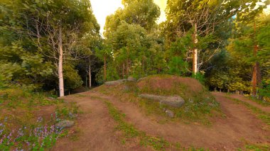 Yeşil manzaranın 3B görüntüsü