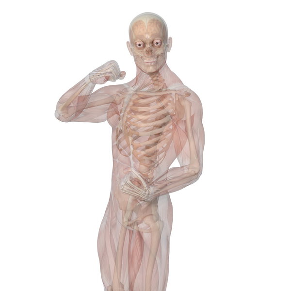 Image of human body