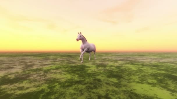Cheval blanc 