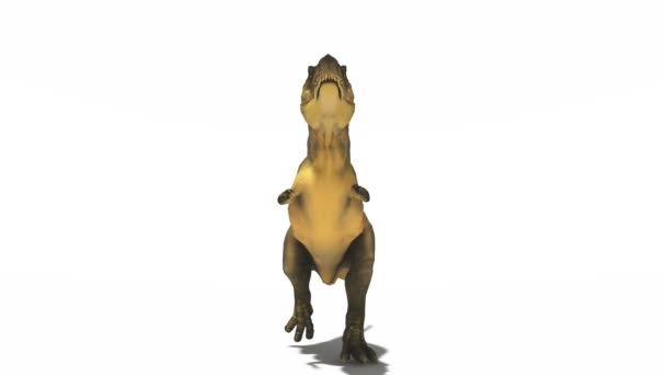 Dinossauro — Vídeo de Stock