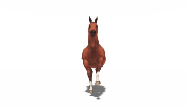 cheval