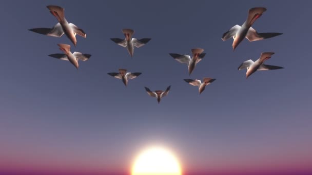 Oiseaux migrateurs 