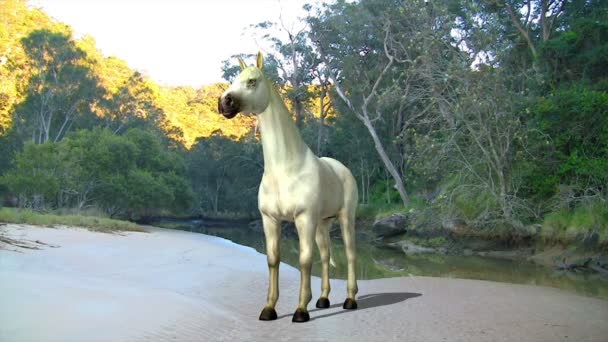 Witte paard in de natuur — Stockvideo