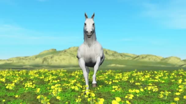 cheval blanc dans la nature 