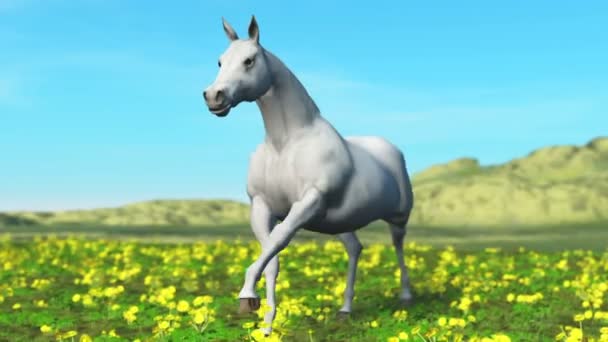 Cavalo branco na natureza — Vídeo de Stock