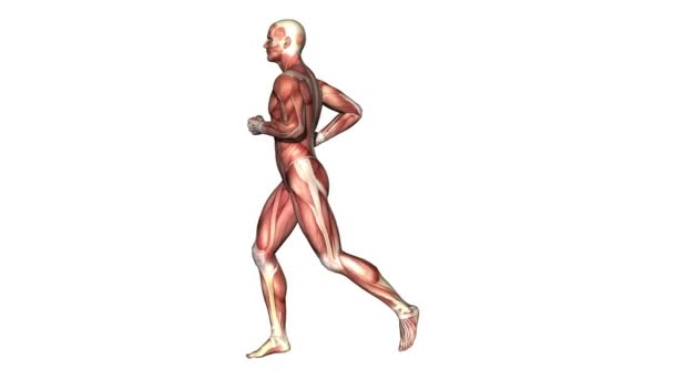跑步的人 — 图库视频影像