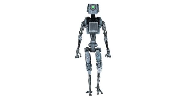 歩行ロボット — ストック動画