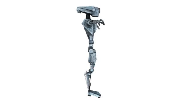 robot