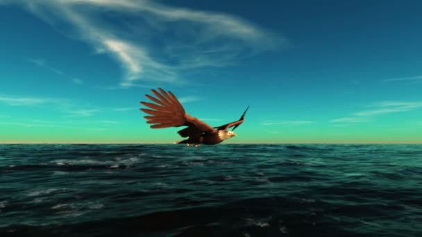 Águila calva — Vídeos de Stock
