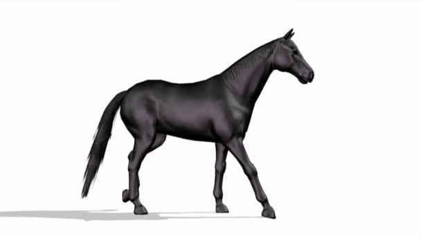 cheval