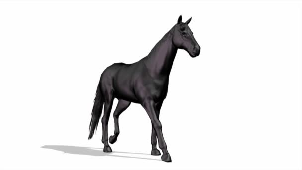 cheval