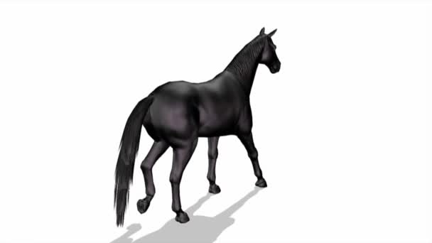 cheval