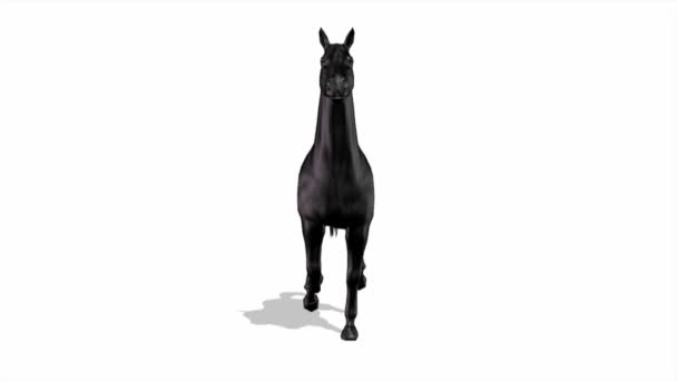cheval