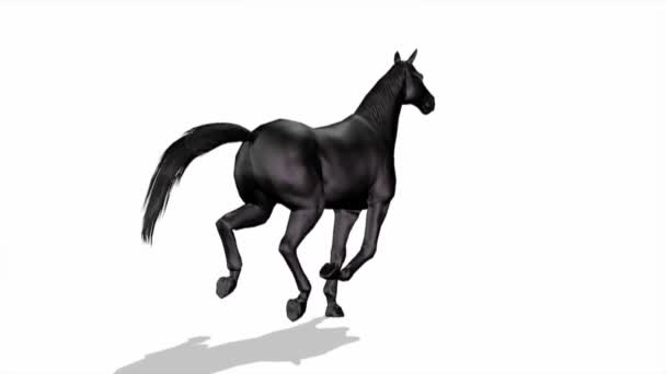 cheval