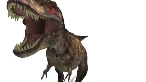 Динозавры — стоковое видео