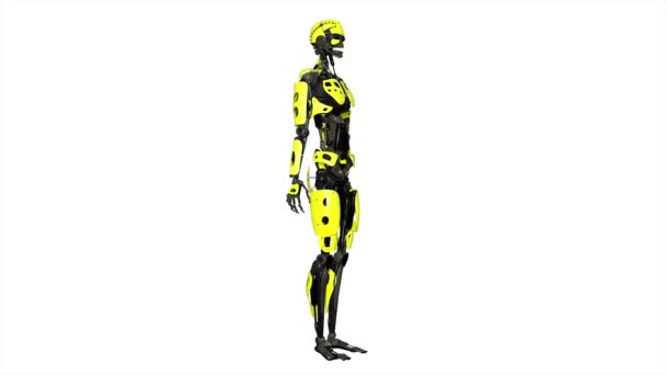 robot