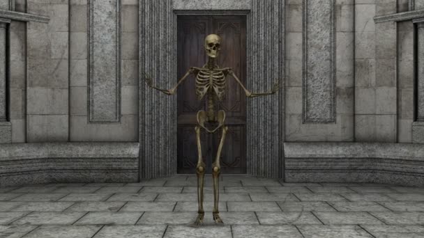 Esqueleto — Vídeo de stock