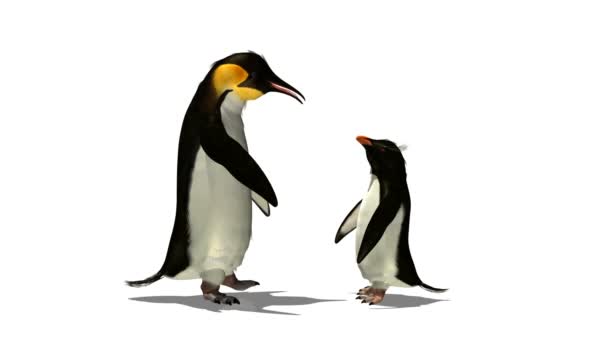 5,024 Penguin Videos, Royalty-free Stock Penguin Footage | Depositphotos 5,024 Penguin Videos, Royalty-free Stock Penguin Footage | Depositphotos
