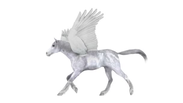 pégasus 