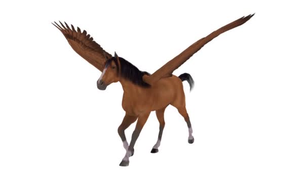 Pegasus — Stok video