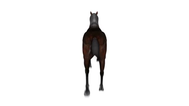 cheval
