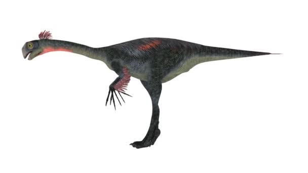 dinosaure