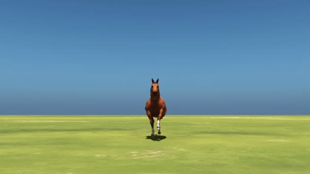 cheval