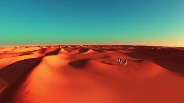 Deserto — Video Stock