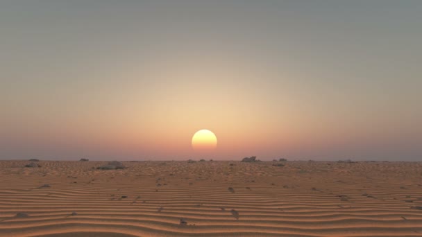 Desierto — Vídeos de Stock