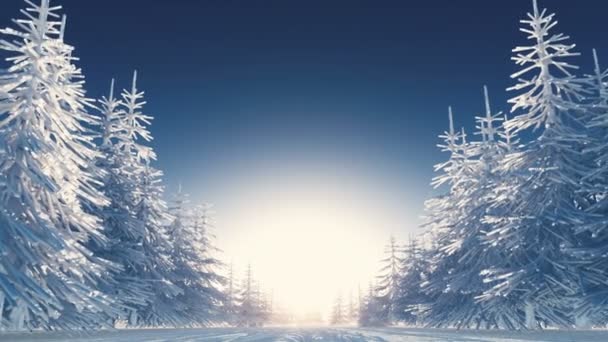 Winter scenery — Wideo stockowe