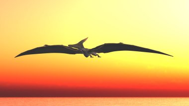 dinozor