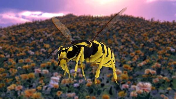 大黄蜂 — 图库照片