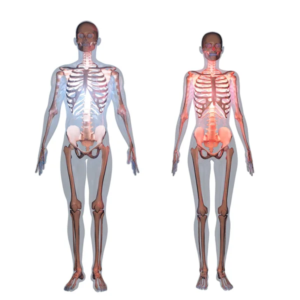 Ciało ludzkie — Zdjęcie stockowe