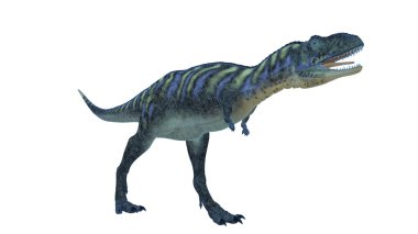 dinozor